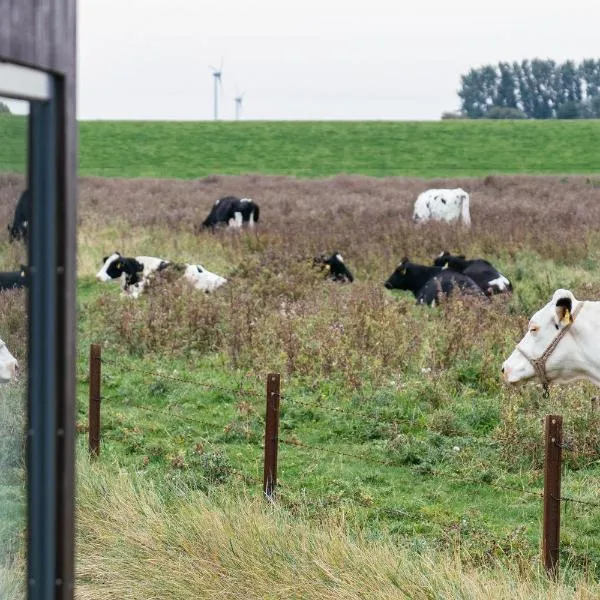 Tiny House Nature 13 Zur Kuhweide - Green Tiny Village Harlesiel，位于卡罗利嫩西尔的酒店