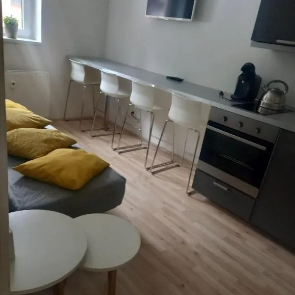 APARTMÁNY za SNĚŽNÍKEM，位于Horní Orlice的酒店