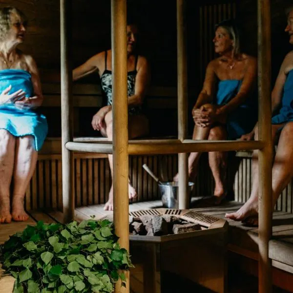 奥林马基葡萄园酒店，位于Anttola的酒店