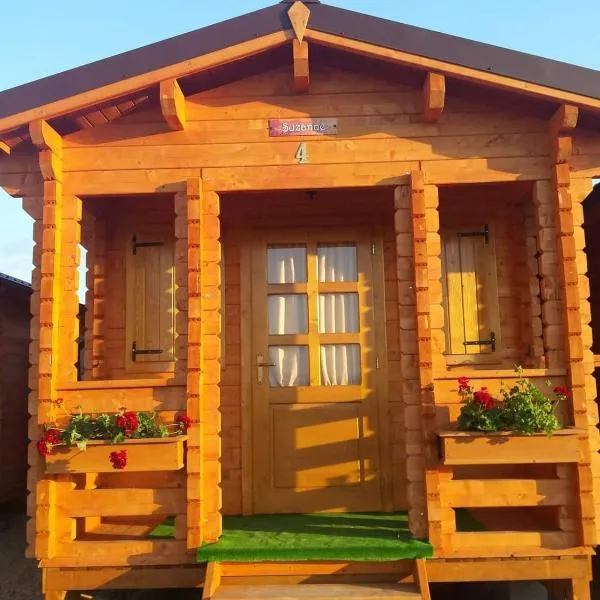 Căsuțe Suzanne Băile Figa-cu aer conditionat，位于贝克良的酒店