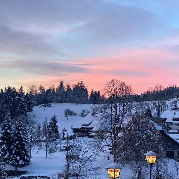 Boutique Hotel and Apartments Pension Sternen，位于托特莫斯的酒店