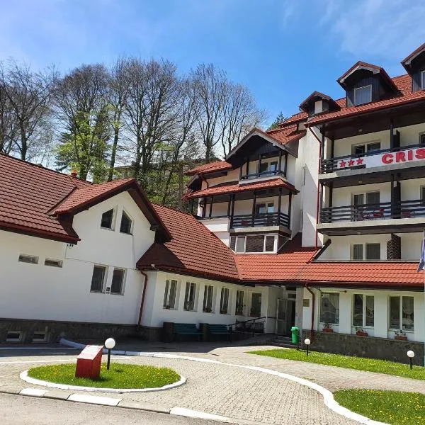 Cristal Sinaia，位于Podu lui Neag的酒店