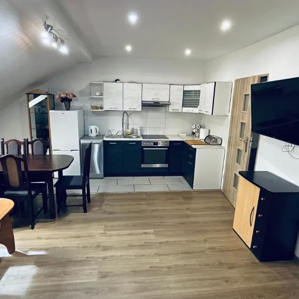 Apartament Pod Kasztanami - BIAŁY，位于因斯科的酒店