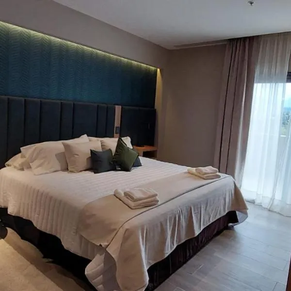 Fuente Mayor Hotel Centro,位于门多萨的酒店
