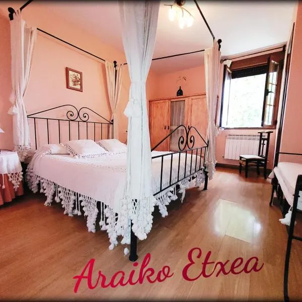 Araiko Etxea Casa Rural，位于Tuyo的酒店