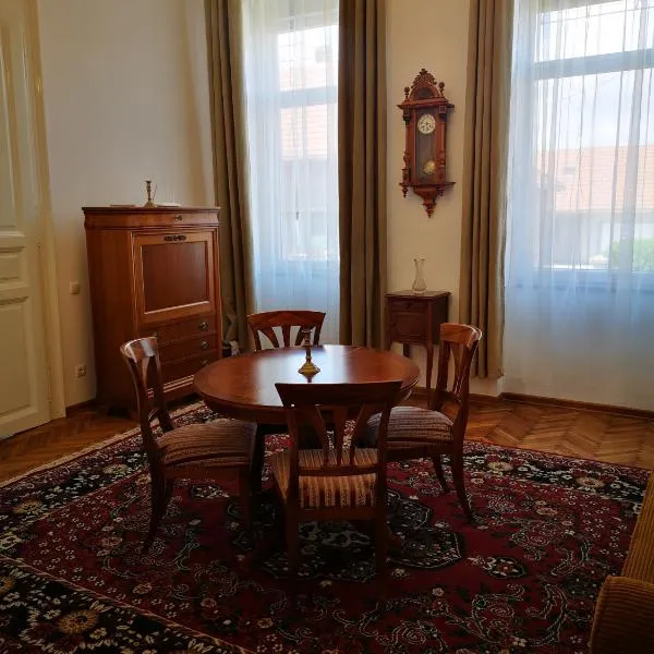 Weisz Castle style Apartment - With Free Private Parking,Wifi，位于Pădurea Urziceni的酒店