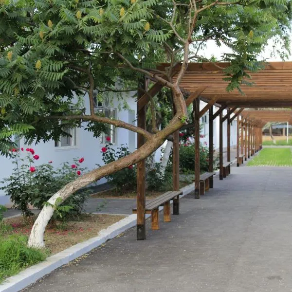 Hanul Piratilor Camping Village，位于瓦杜的酒店