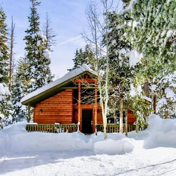 Lovely Log Cabin With Fire Pit!，位于达克科里克村的酒店