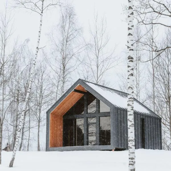 Sniegi design cabin with sauna，位于马多纳的酒店