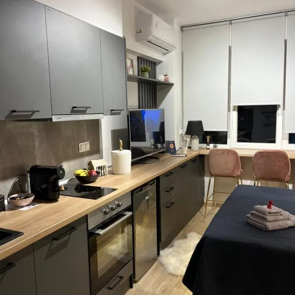 City Centre Suites，位于科莫蒂尼的酒店