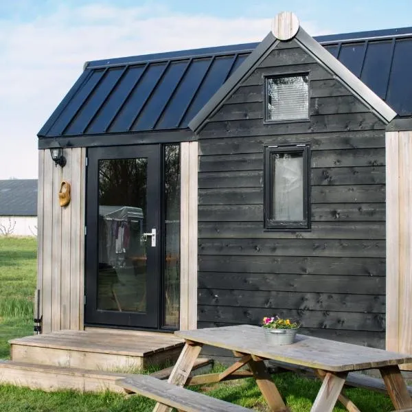 Tiny house Giethoorn，位于羊角村的酒店