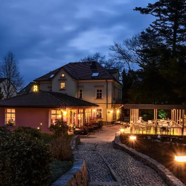 Hotel Villa Weiße，位于卡门茨的酒店