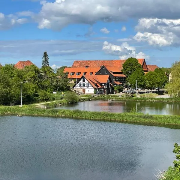 Hotel Zum Klosterfischer，位于Derenburg的酒店