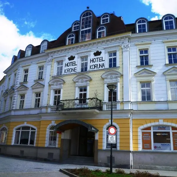 Hotel Koruna，位于Nová Červená Voda的酒店