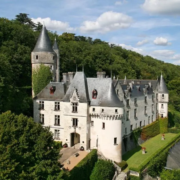 池塞城堡酒店，位于Civray-de-Touraine的酒店