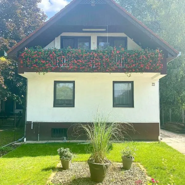 Kisduna ház，位于Dömsöd的酒店