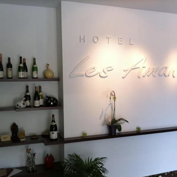 Hotel Les Amandiers，位于Saint-Barthélemy-le-Plain的酒店