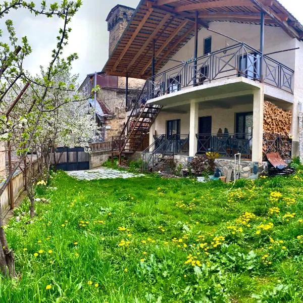 GUEST HOUSE ,, MEMORY''，位于梅斯蒂亚的酒店