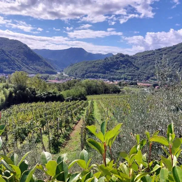 Agriturismo Tenuta La Fratta，位于巴尼－迪卢卡的酒店