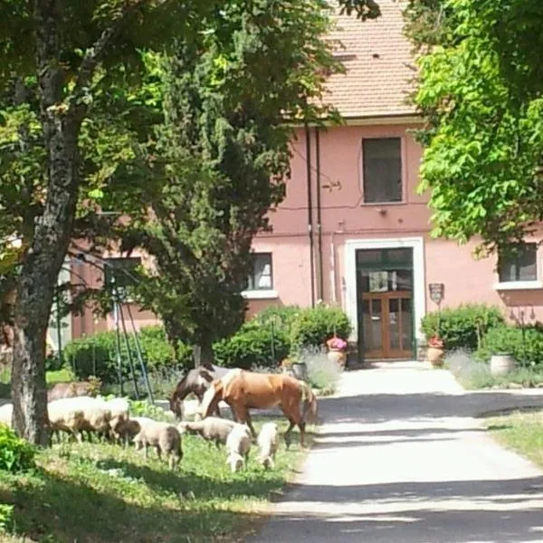 Country House Villa delle Rose Agriturismo，位于Ruvo del Monte的酒店