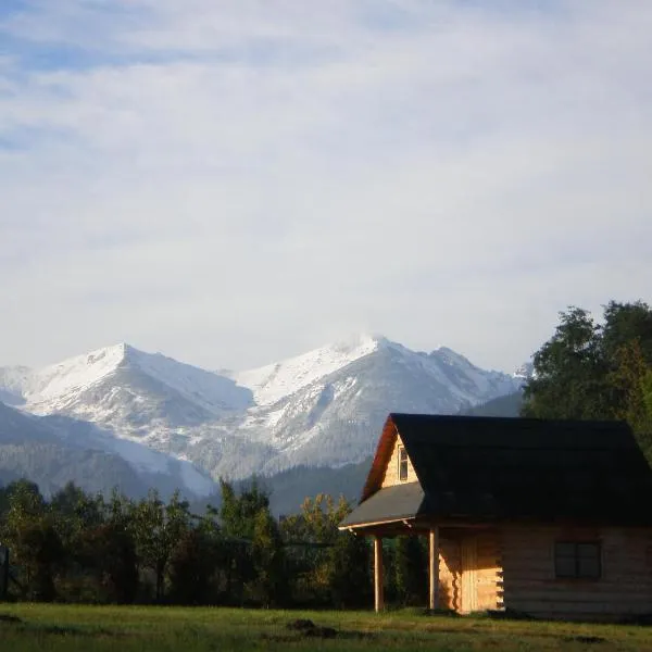 PRZYCZEPA CAMPINGOWA Ogrzewana !!temperatura 17lub 18stopni ZAKOPANE，位于扎科帕内的酒店