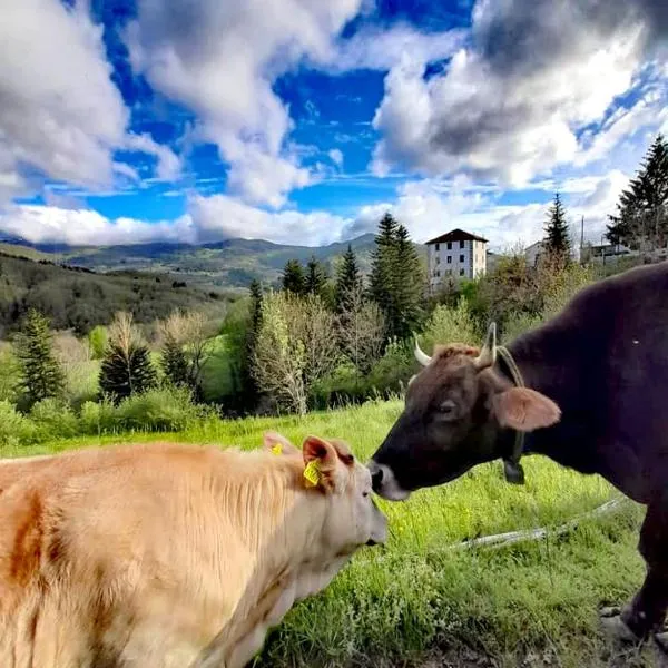 Agriturismo I Giggi，位于圣斯泰法诺达韦托的酒店