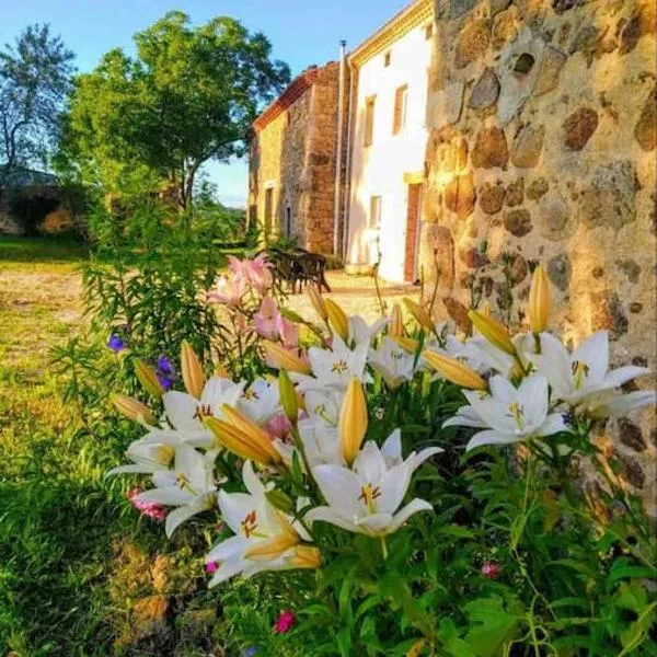 Grand Gîte Confortable en Auvergne - Belle vue，位于Brousse的酒店
