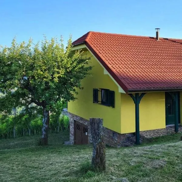Vikend hiša Vrhe，位于Zabukovje nad Sevnico的酒店