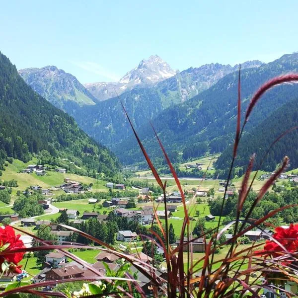 Alpenpension Maderer，位于加舒恩的酒店
