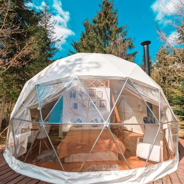 Medve Dome - Luxury Camping in the middle of nature，位于Băile Chirui的酒店