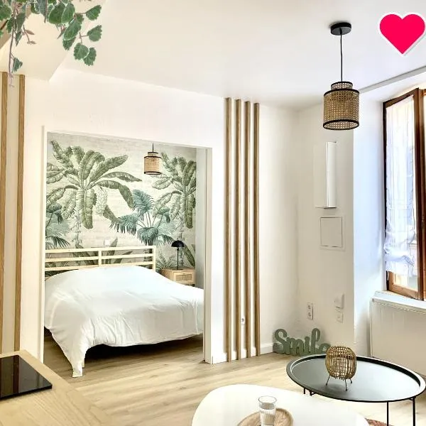 Charmant appartement au cœur de Neuville - Lyon à 20mn，位于诺伊维尔索恩河畔的酒店