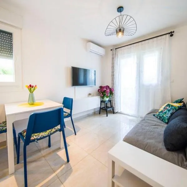 Apartman Nane，位于索林的酒店