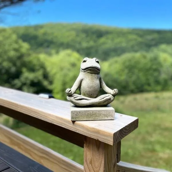 Breathtaking views. Hot tub. Huge Deck. Fast Wifi，位于Andes的酒店