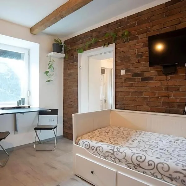 Nordic Dream Apartment in Kikinda，位于Kikinda的酒店