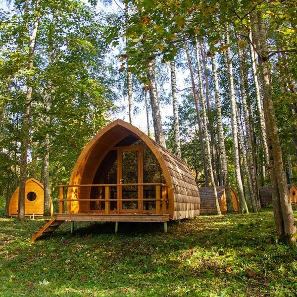 Meža namiņi Sprīdīši，位于Zaļenieki的酒店