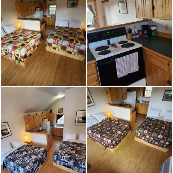 Denali's Alaskan Spruce Cabins，位于希利的酒店