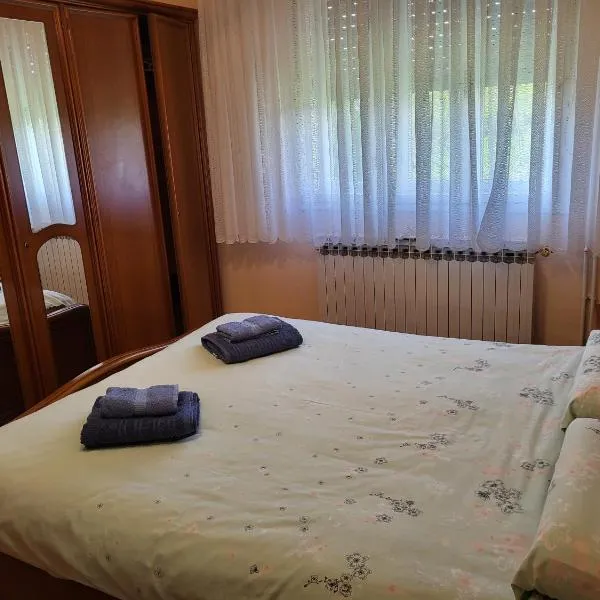 Apartman Martina，位于戈斯皮奇的酒店