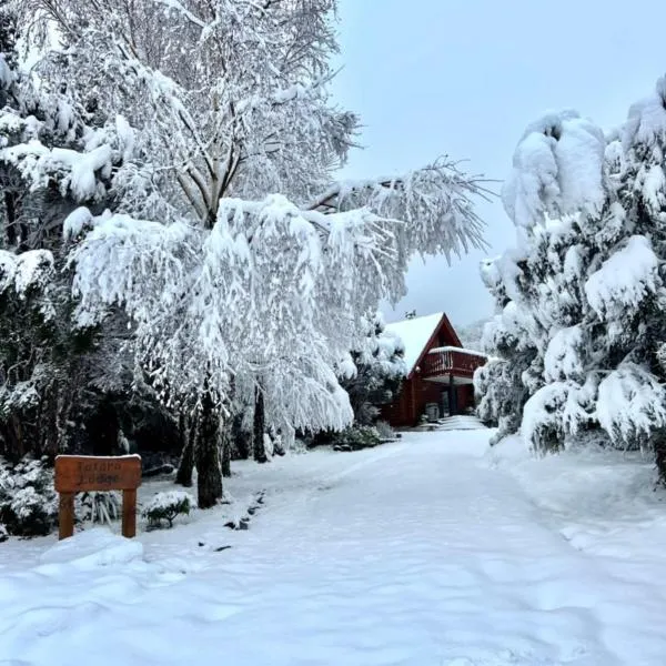 Totara Lodge - Unwind, Relax & Enjoy - Mt Lyford，位于Mt Lyford的酒店