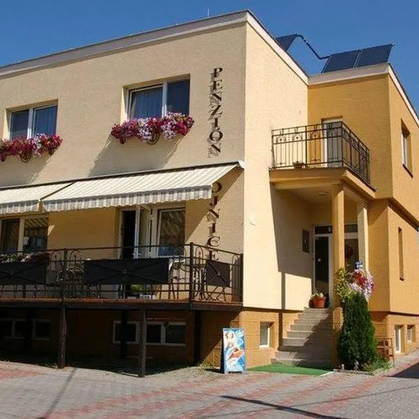 波切尼斯膳宿旅馆，位于Nitrianske Rudno的酒店