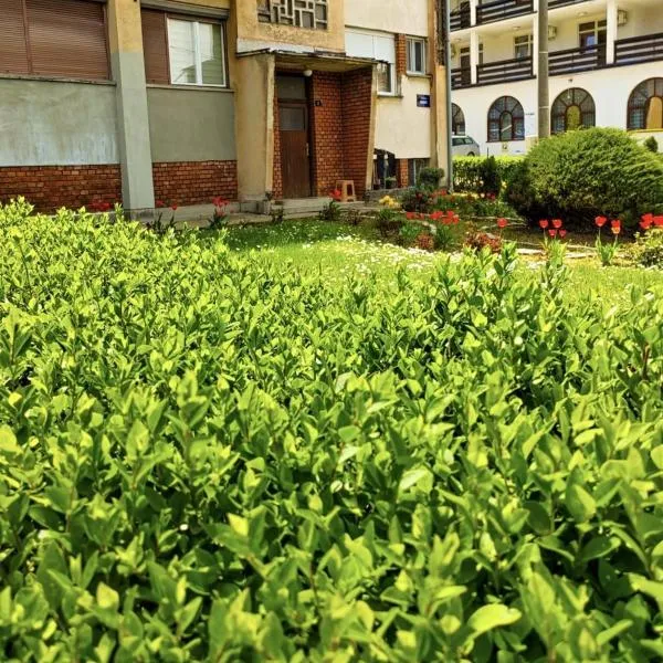 Apartman Mali Raj Rudnik II，位于鲁德尼克的酒店