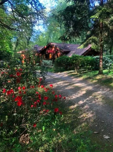 Chambre d'hôte txaleta (le Chalet)，位于Saint-Martin-le-Vieux的酒店