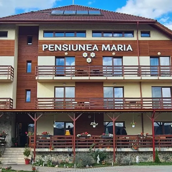 Pensiunea Maria，位于吉勒乌的酒店