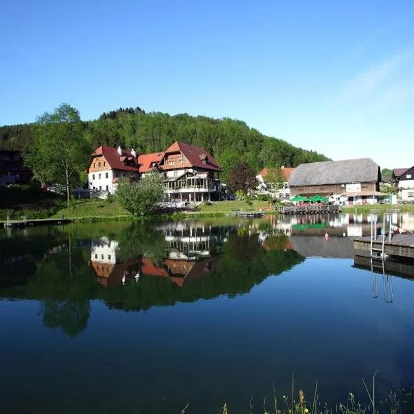 思嘉卜雷恩家庭会议酒店，位于Sankt Lorenzen am Wechsel的酒店