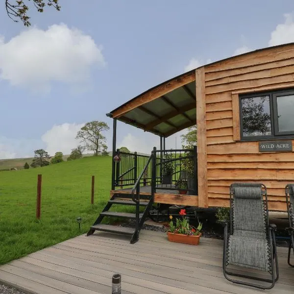 Wild Acre，位于Llangadog的酒店