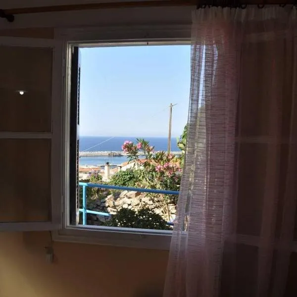 Evdilos apartments with a view，位于埃夫迪洛斯的酒店