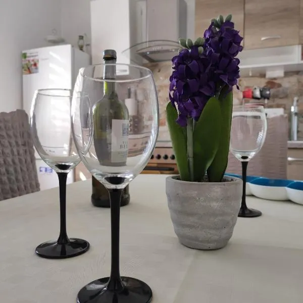 Apartmani Žak，位于普里德拉加的酒店