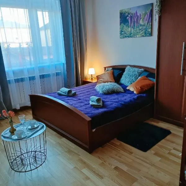 Apartament nad Nidą，位于Sobków的酒店