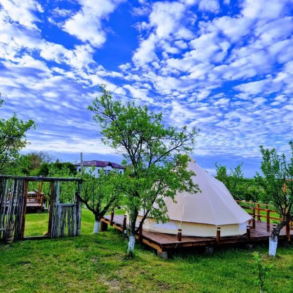 Glamping Livada cu lavanda，位于Podu Corbencii的酒店