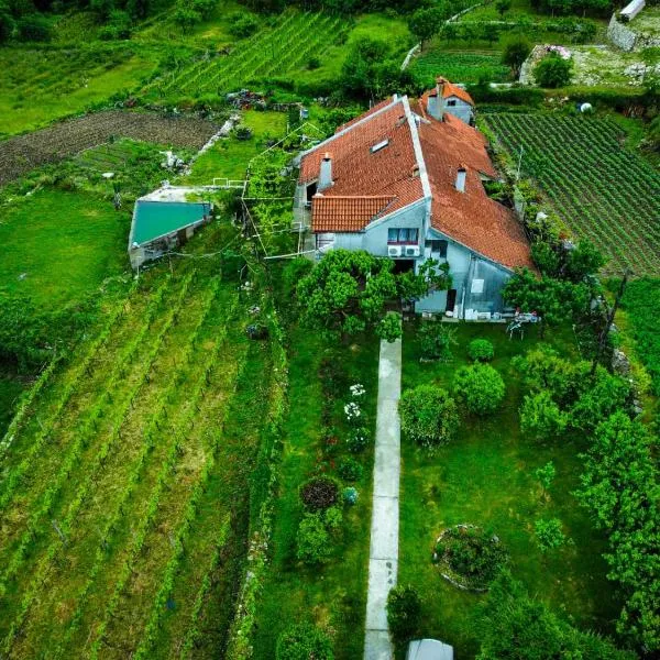 Domacinstvo Tea i Marko - Rakus，位于威尔帕扎的酒店
