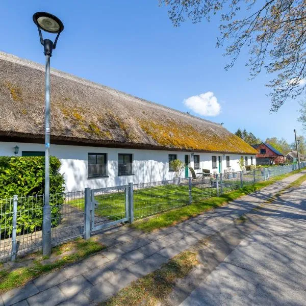 Alte Schnitterkate，位于Lassan的酒店